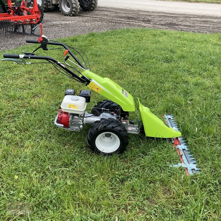 Motormäher tip Grillo GF2 Motormäher, Neumaschine in Eberschwang (Poză 4)