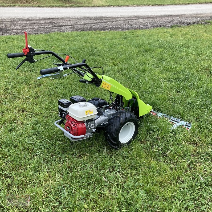 Motormäher tip Grillo GF2 Motormäher, Neumaschine in Eberschwang (Poză 5)