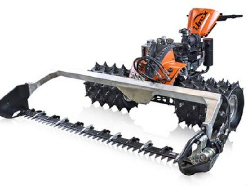 Motormäher του τύπου Ibex G3V, Gebrauchtmaschine σε Ried im Oberinntal (Φωτογραφία 1)