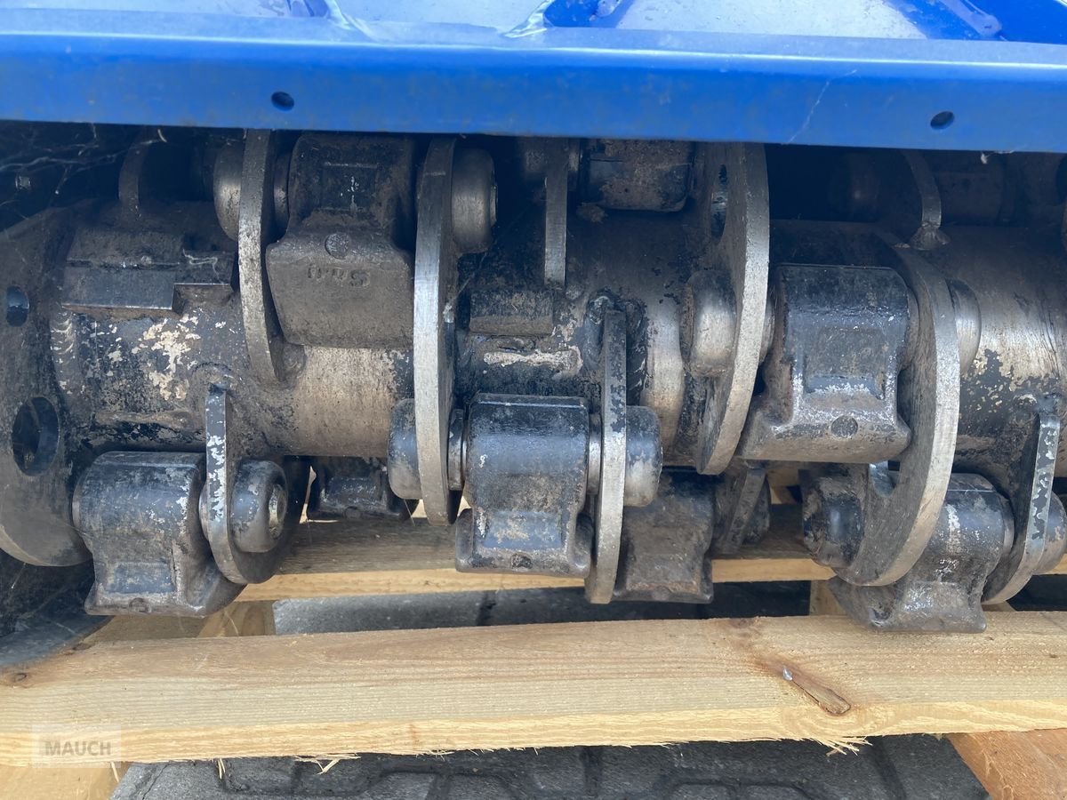 Motormäher of the type Irus FM 125, Vorführmaschine in Burgkirchen (Picture 7)