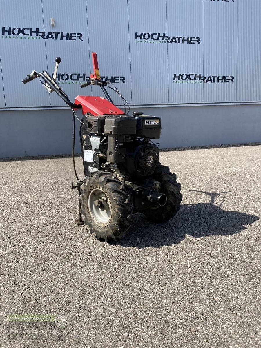 Motormäher typu Köppl CL-10, Gebrauchtmaschine v Kronstorf (Obrázek 1)