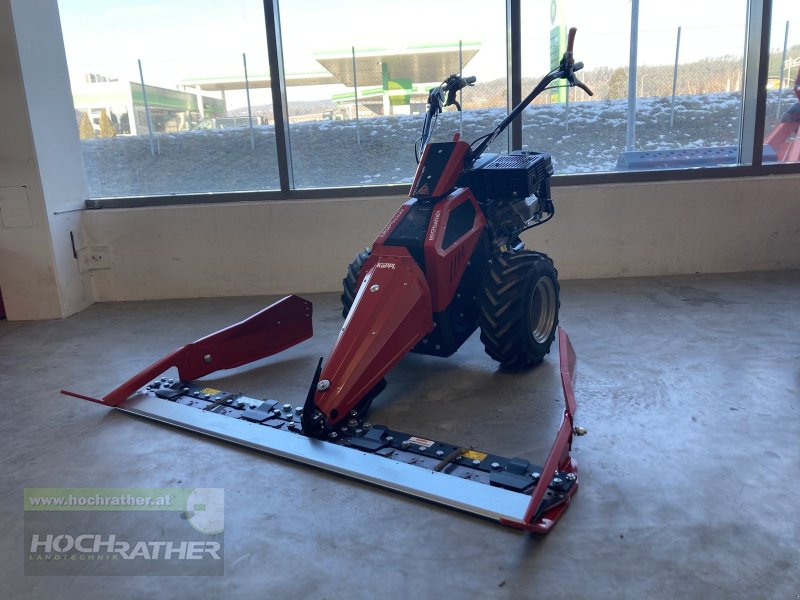 Motormäher tipa Köppl Compakt Easy CE10, Neumaschine u Kronstorf