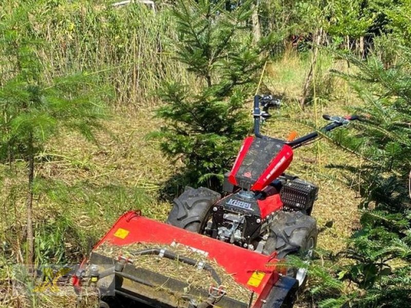 Motormäher des Typs Köppl Multi Talent MT 10 mit Schleglmulcher MTR-F80CL, Neumaschine in Pattigham (Bild 1)