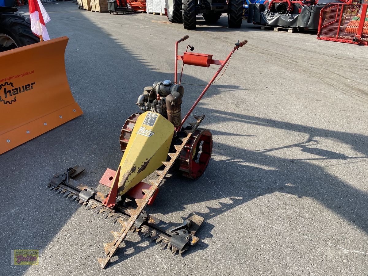 Motormäher des Typs Moty 123, Gebrauchtmaschine in Kötschach (Bild 2)