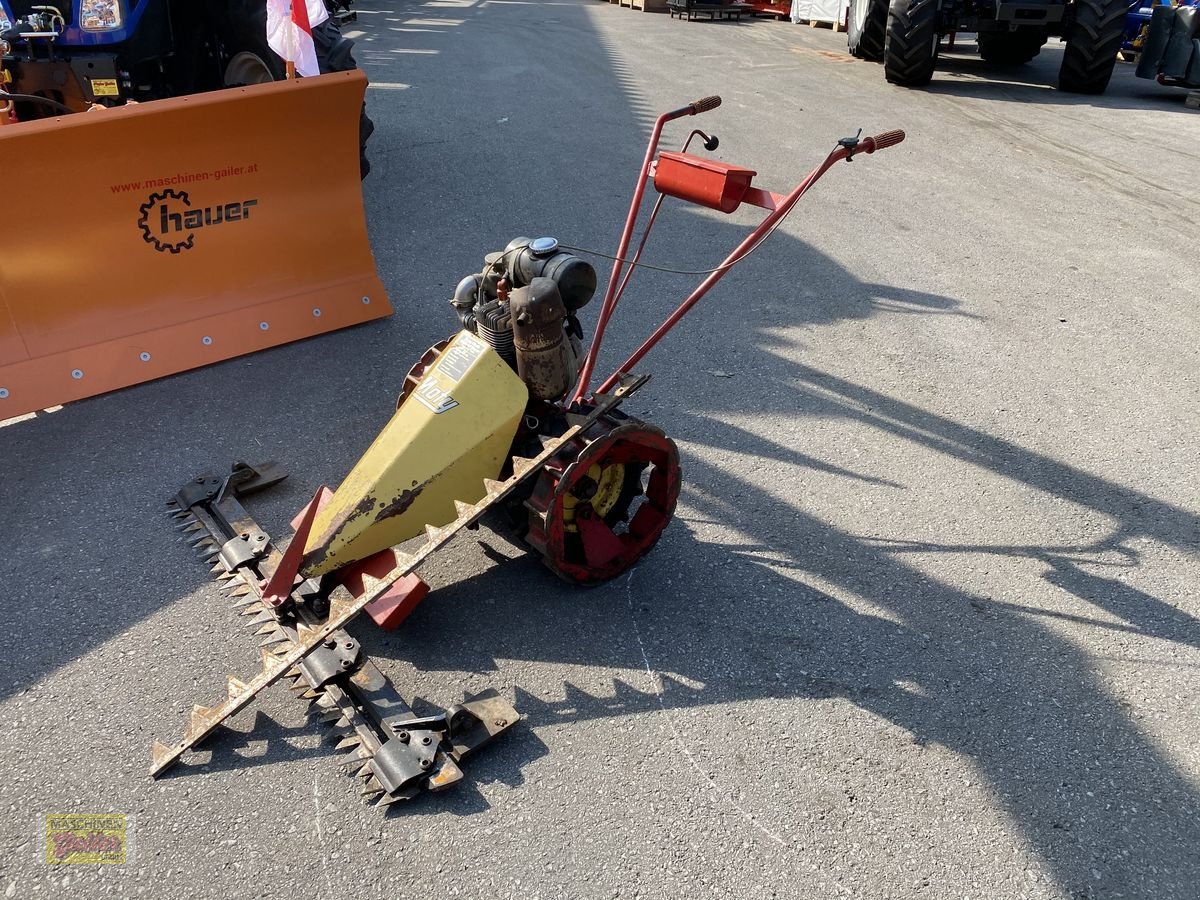 Motormäher des Typs Moty 123, Gebrauchtmaschine in Kötschach (Bild 1)