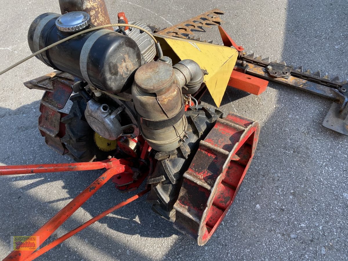 Motormäher des Typs Moty 123, Gebrauchtmaschine in Kötschach (Bild 4)