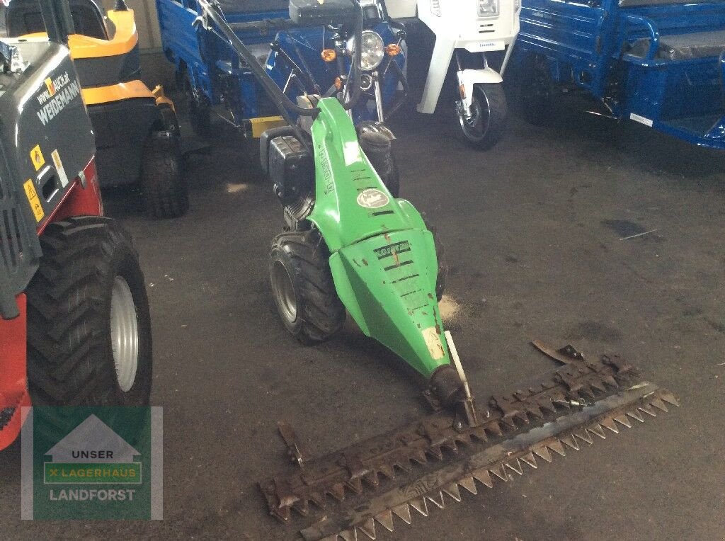 Motormäher typu Moty 145cm, Gebrauchtmaschine v Kobenz bei Knittelfeld (Obrázek 2)