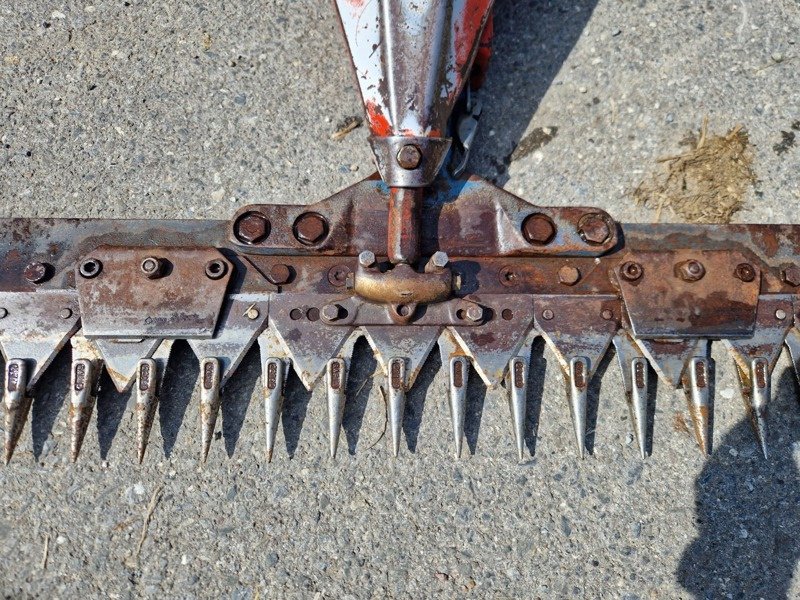 Motormäher typu Rapid 505, Gebrauchtmaschine v Altendorf (Obrázek 5)