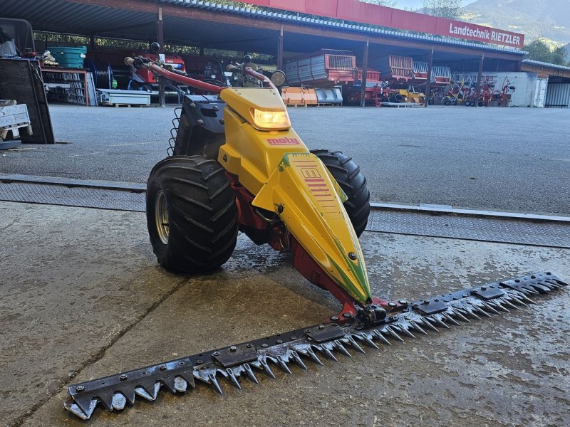 Motormäher des Typs Rapid Euro 3, Gebrauchtmaschine in Ried im Oberinntal (Bild 1)