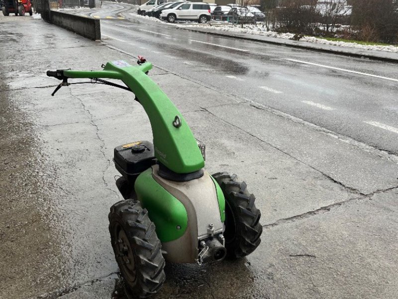 Motormäher del tipo Rapid Mondo, Gebrauchtmaschine In Helgisried (Immagine 1)