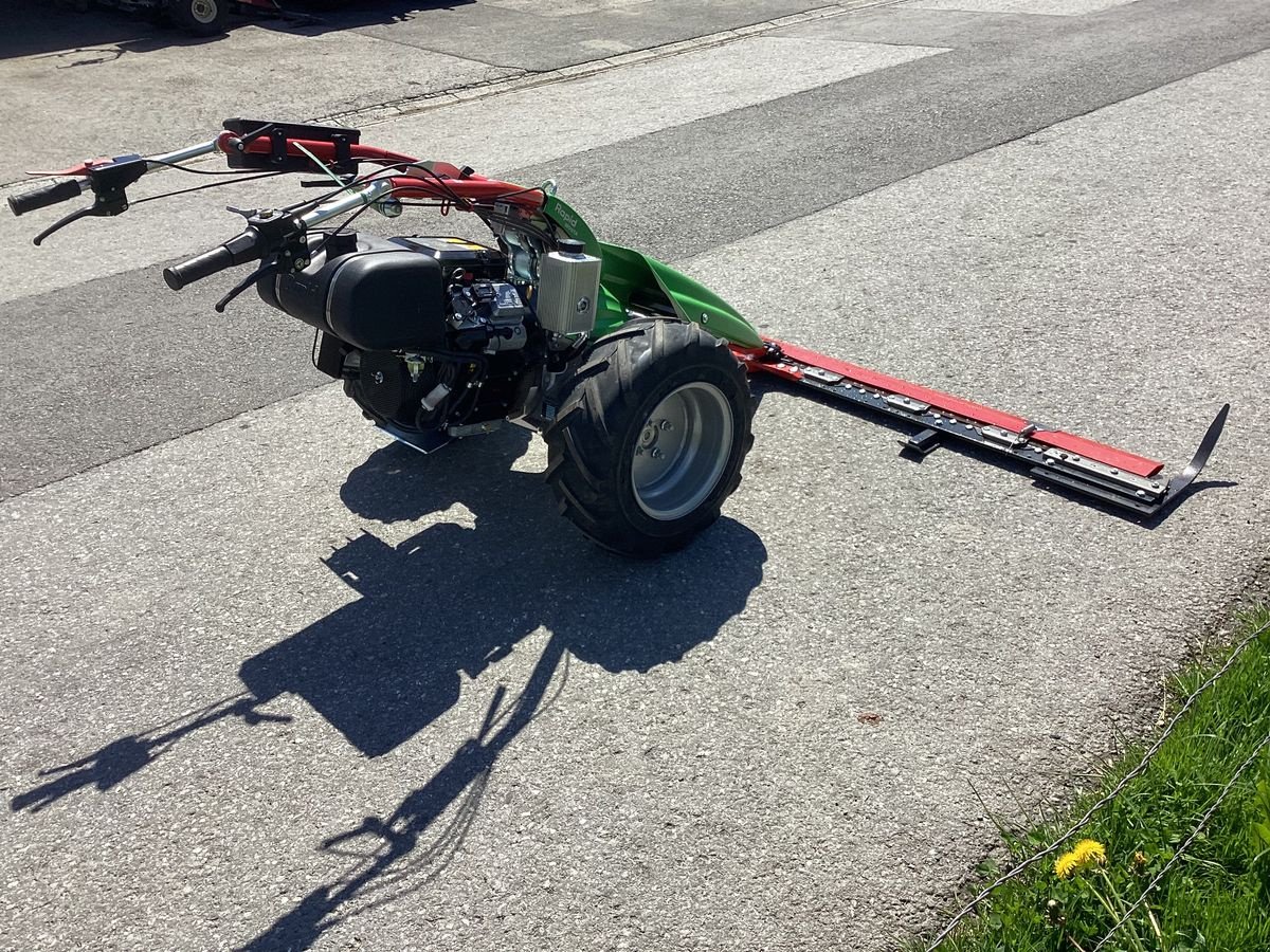 Motormäher des Typs Rapid Monta 16, Neumaschine in Bezau (Bild 2)