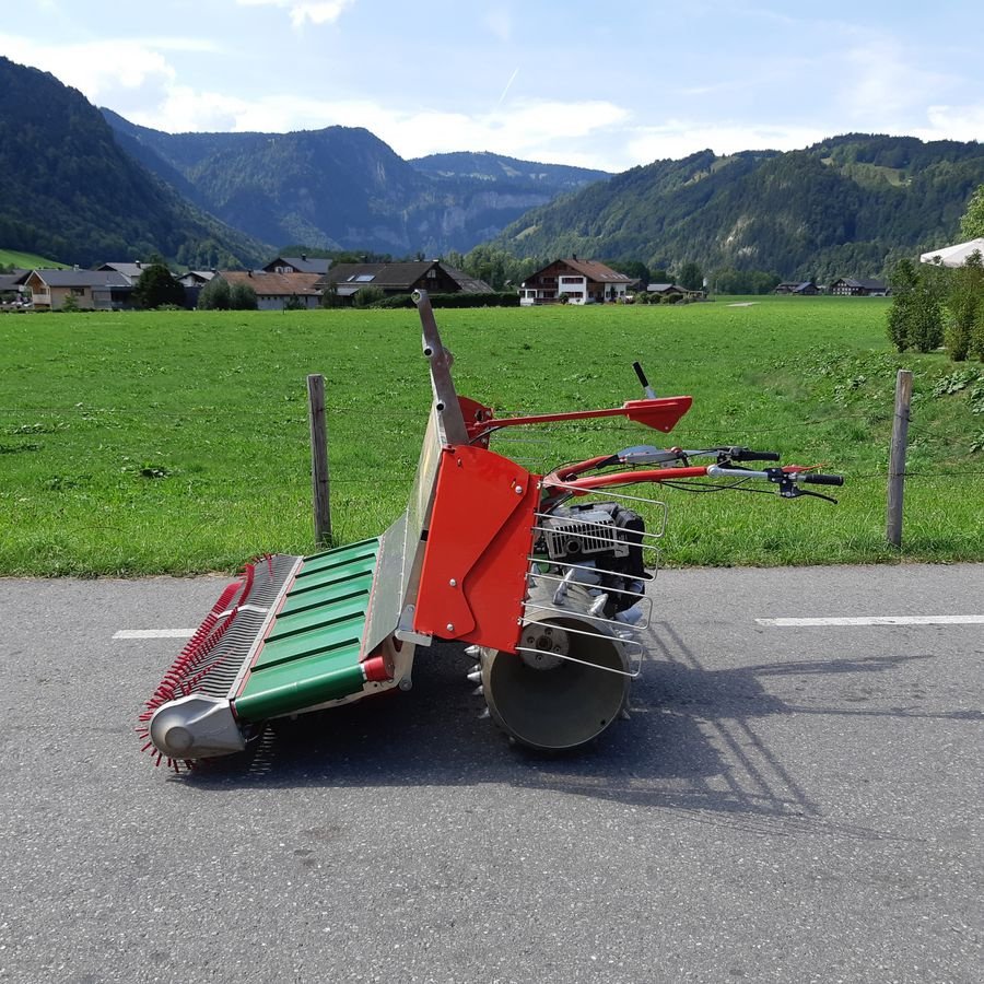 Motormäher typu Rapid Multitwister, Vorführmaschine v Bezau (Obrázek 4)