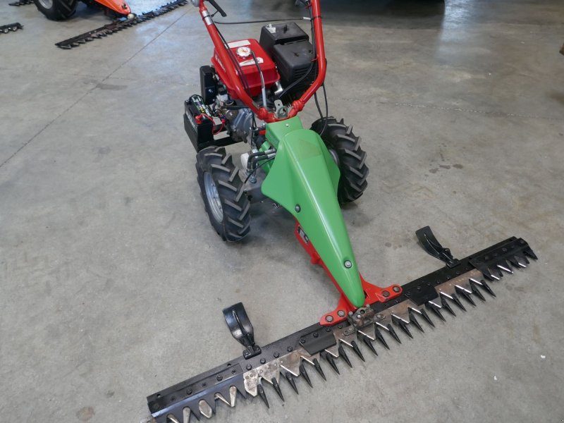 Motormäher des Typs Rapid Rex mit E-Start, Gebrauchtmaschine in Villach (Bild 1)