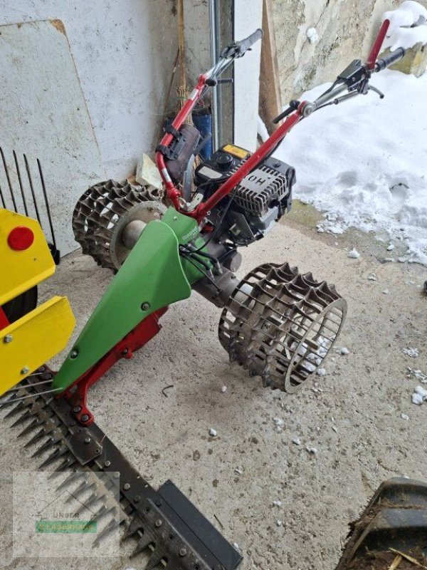 Motormäher от тип Rapid Rex, Gebrauchtmaschine в Schlitters (Снимка 1)