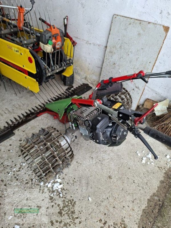 Motormäher от тип Rapid Rex, Gebrauchtmaschine в Schlitters (Снимка 2)