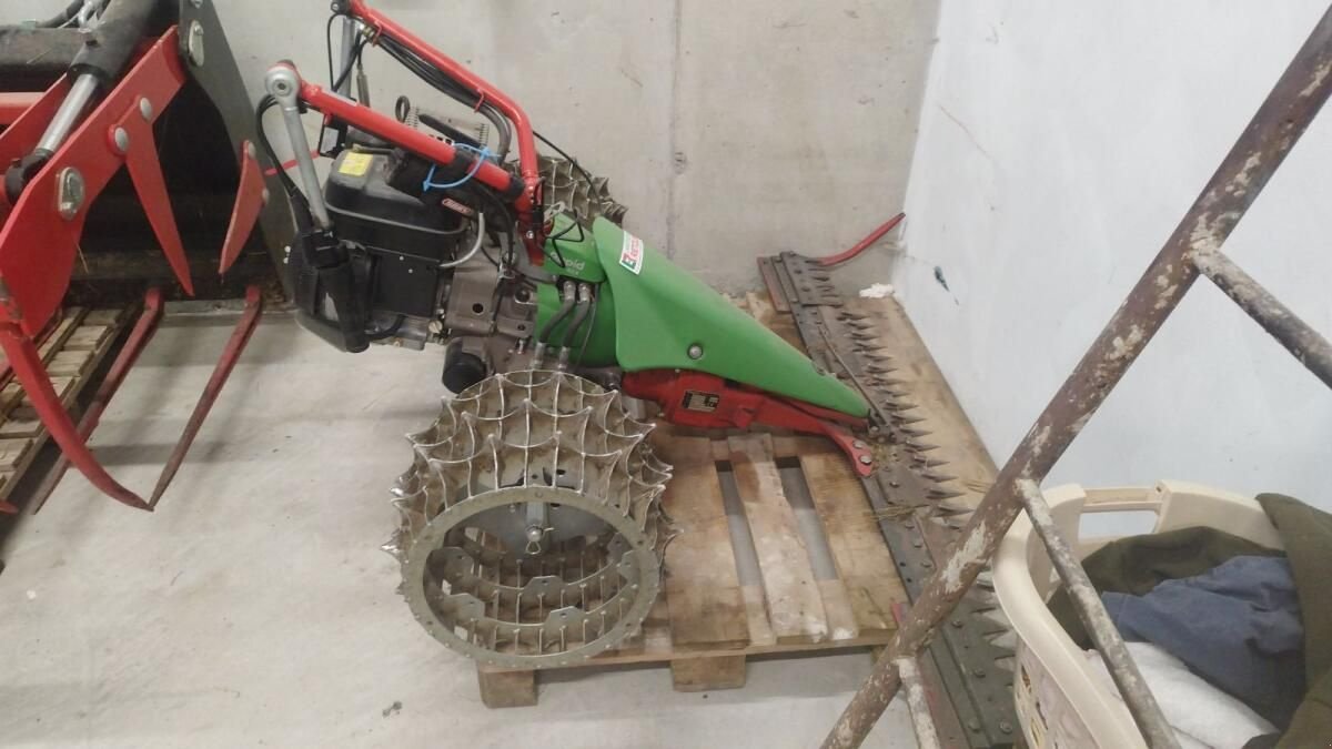 Motormäher des Typs Rapid REX, Gebrauchtmaschine in Ried im Oberinntal (Bild 1)