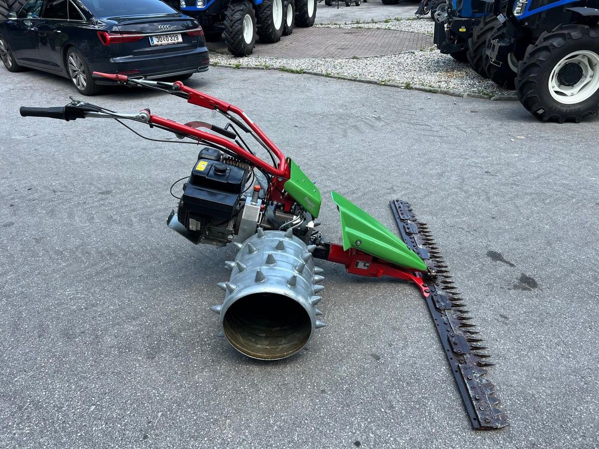 Motormäher of the type Rapid Sonstiges, Gebrauchtmaschine in Burgkirchen (Picture 2)