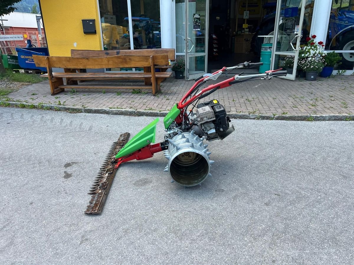 Motormäher of the type Rapid Sonstiges, Gebrauchtmaschine in Burgkirchen (Picture 4)