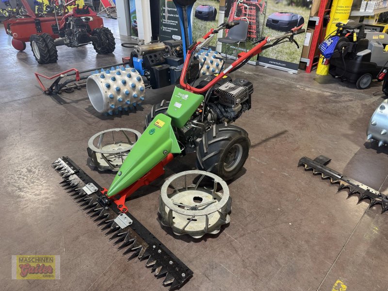 Motormäher des Typs Rapid Swiss mit Freischnittbalken 160cm, Gebrauchtmaschine in Kötschach (Bild 1)