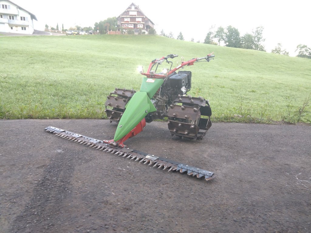 Motormäher of the type Rapid Swiss, Gebrauchtmaschine in Egg (Picture 3)