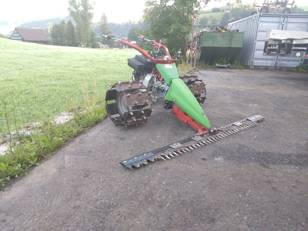 Motormäher of the type Rapid Swiss, Gebrauchtmaschine in Egg (Picture 2)