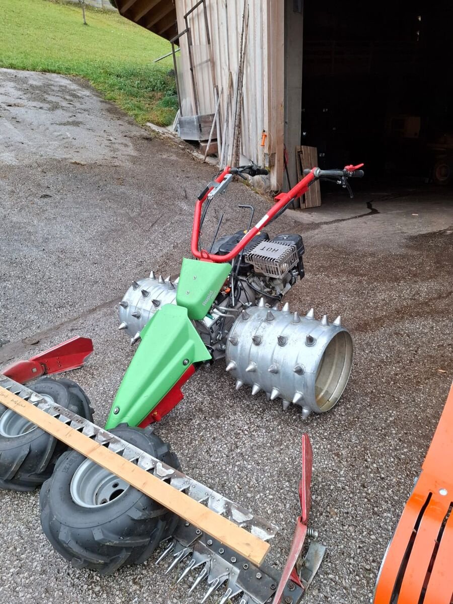 Motormäher typu Rapid Swiss, Gebrauchtmaschine v Bruck (Obrázek 1)