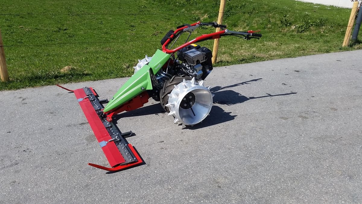 Motormäher Türe ait Rapid Swiss, Neumaschine içinde Bezau (resim 3)