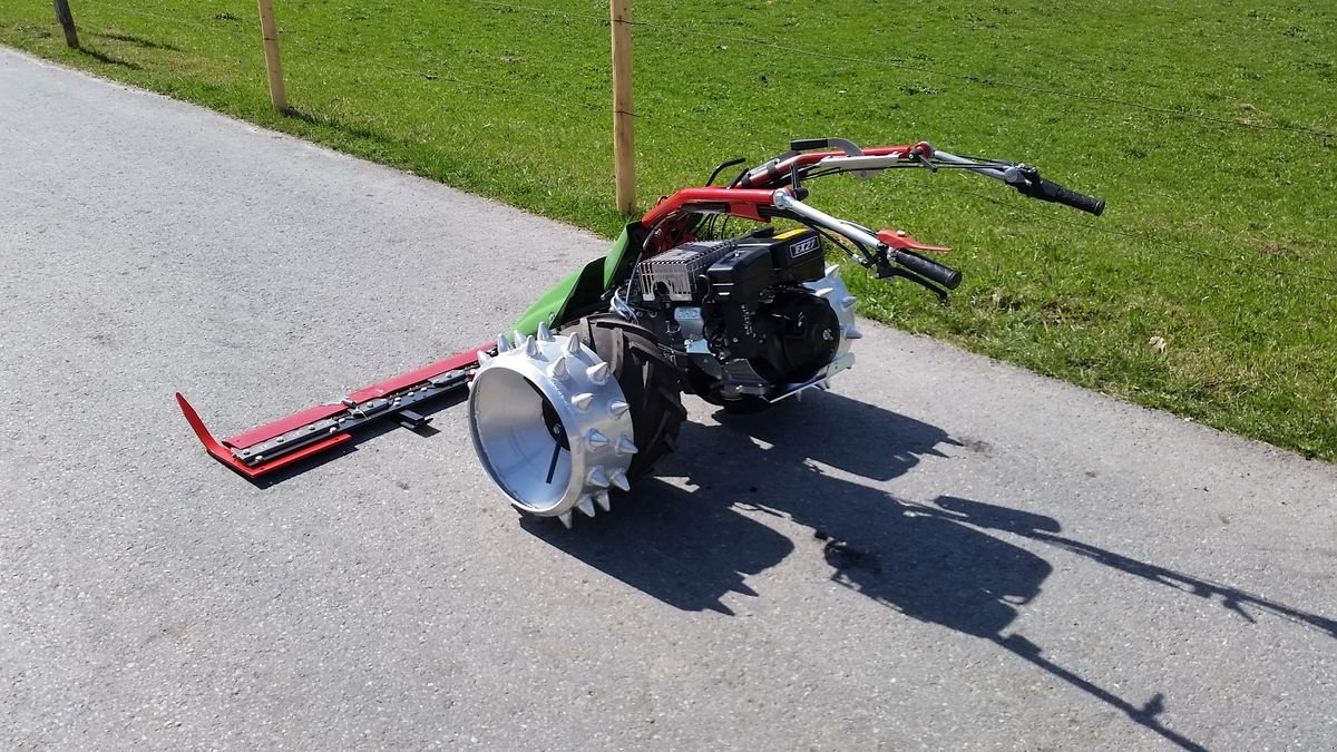 Motormäher Türe ait Rapid Swiss, Neumaschine içinde Bezau (resim 5)
