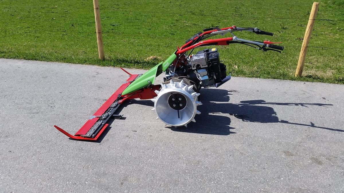Motormäher Türe ait Rapid Swiss, Neumaschine içinde Bezau (resim 4)