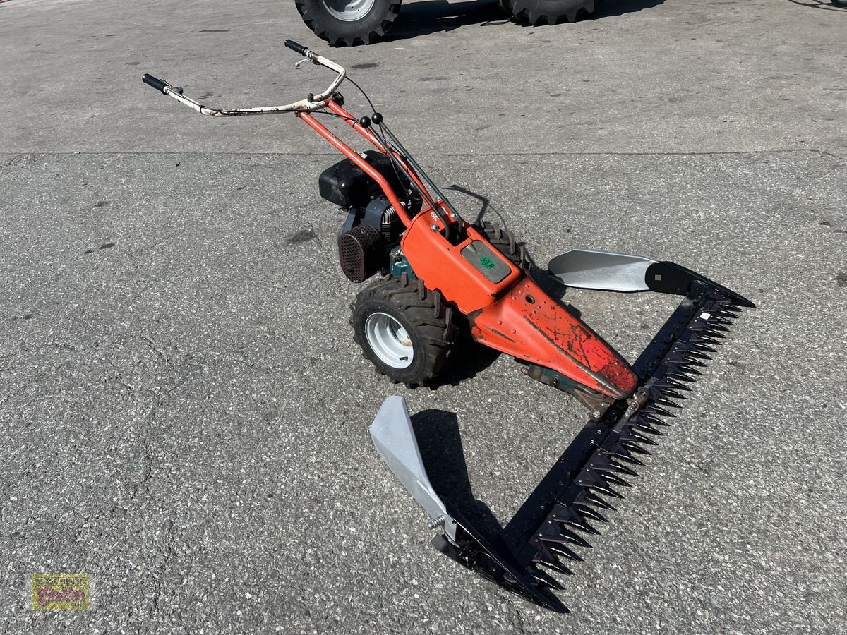 Motormäher des Typs Reform 115, Gebrauchtmaschine in Kötschach (Bild 1)