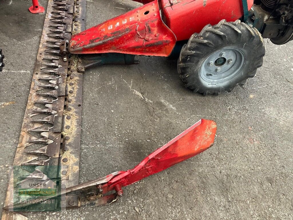 Motormäher des Typs Reform 115, Gebrauchtmaschine in Murau (Bild 6)