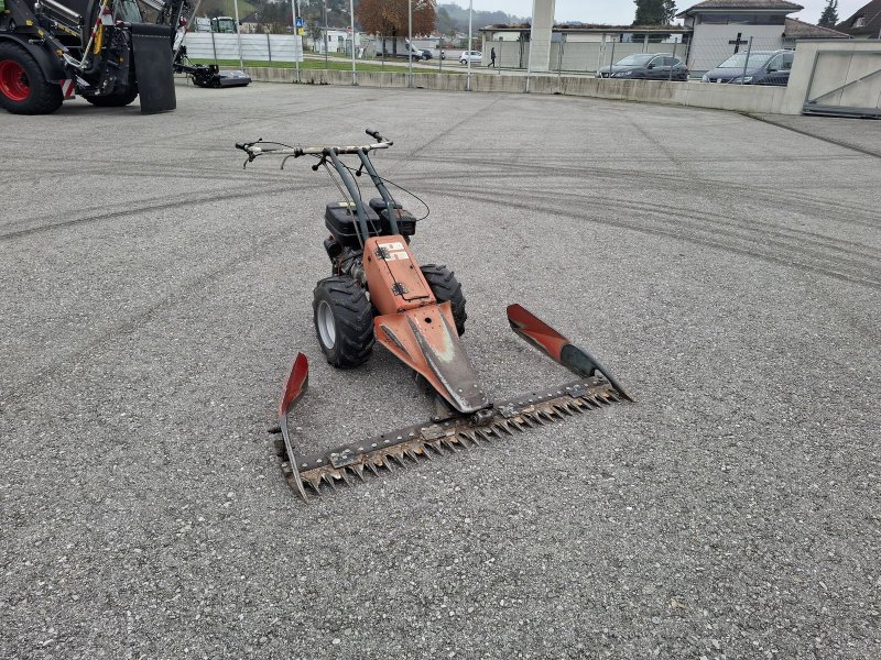 Motormäher del tipo Reform 116, Gebrauchtmaschine In Saxen (Immagine 1)