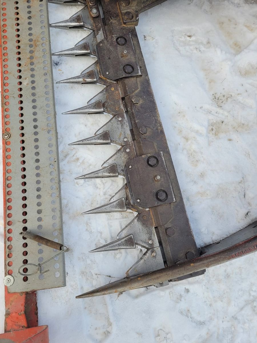 Motormäher za tip Reform 216, Gebrauchtmaschine u Saxen (Slika 2)