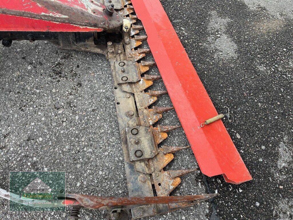 Motormäher Türe ait Reform 216S, Gebrauchtmaschine içinde Hofkirchen (resim 10)
