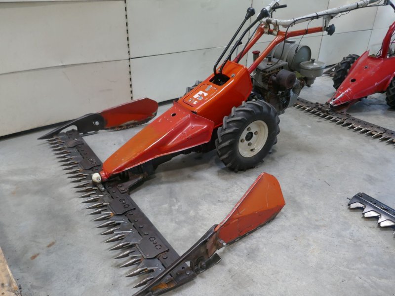 Motormäher des Typs Reform 316, Gebrauchtmaschine in Villach (Bild 1)