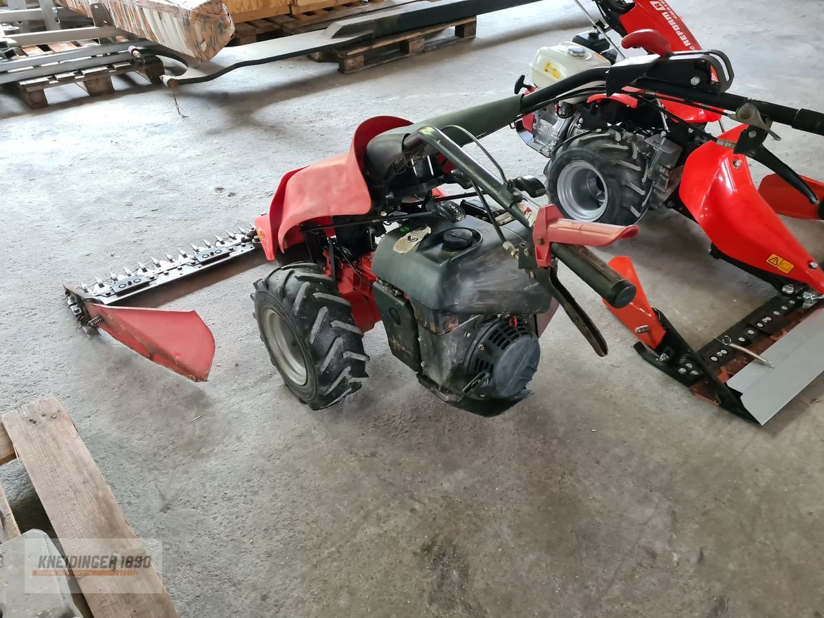 Motormäher Türe ait Reform 626, Gebrauchtmaschine içinde Altenfelden (resim 4)