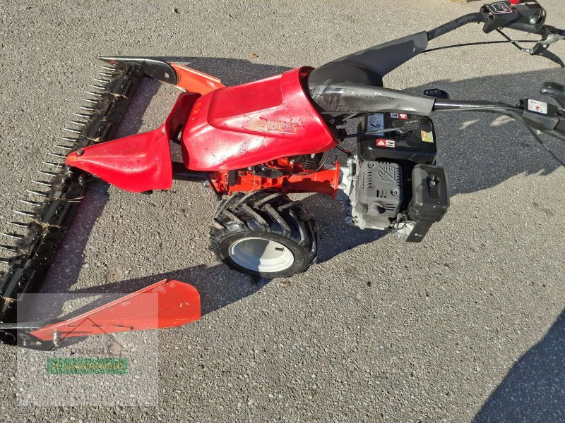 Motormäher del tipo Reform 626, Gebrauchtmaschine In Freistadt (Immagine 1)