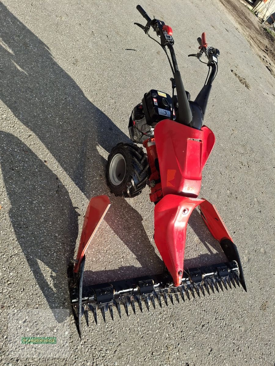 Motormäher of the type Reform 626, Gebrauchtmaschine in Freistadt (Picture 2)