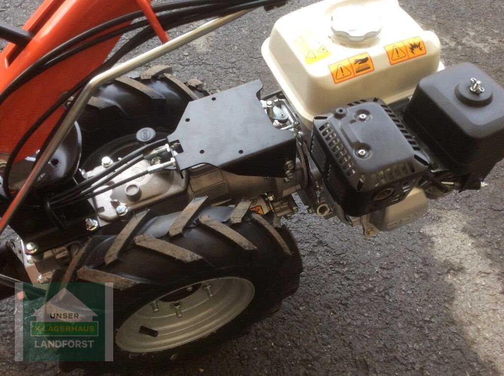 Motormäher des Typs Reform CM 816, Neumaschine in Kobenz bei Knittelfeld (Bild 7)