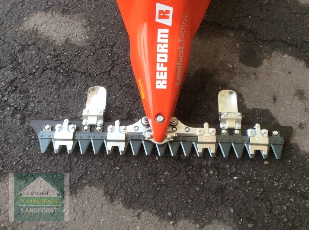 Motormäher des Typs Reform CM 816, Neumaschine in Kobenz bei Knittelfeld (Bild 6)