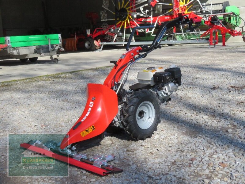 Reform CM 816, Neumaschine, Baujahr: 2023 (Bild 1) Motormäher des Typs Reform CM 816, Neumaschine in Lambach (Bild 1)