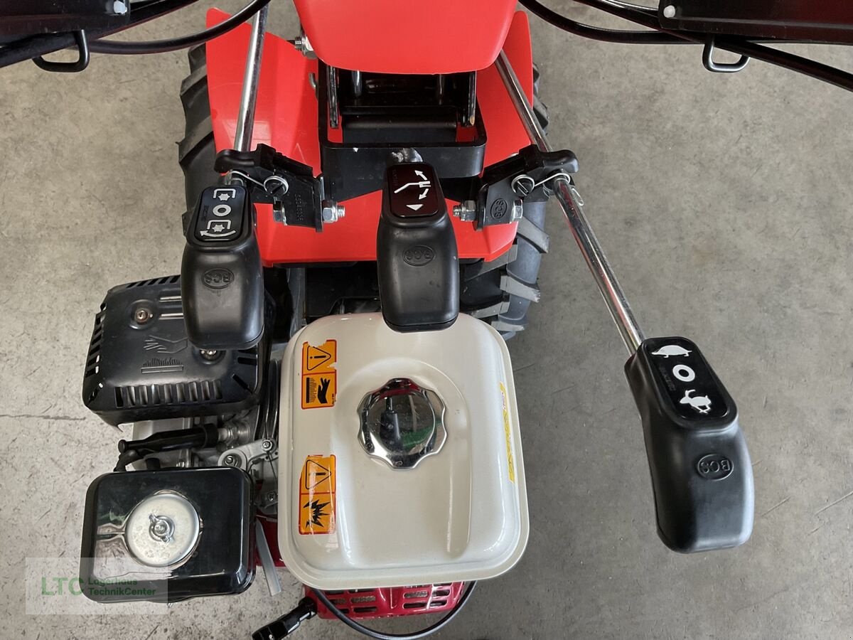 Motormäher typu Reform CM 817, Vorführmaschine v Kalsdorf (Obrázek 11)