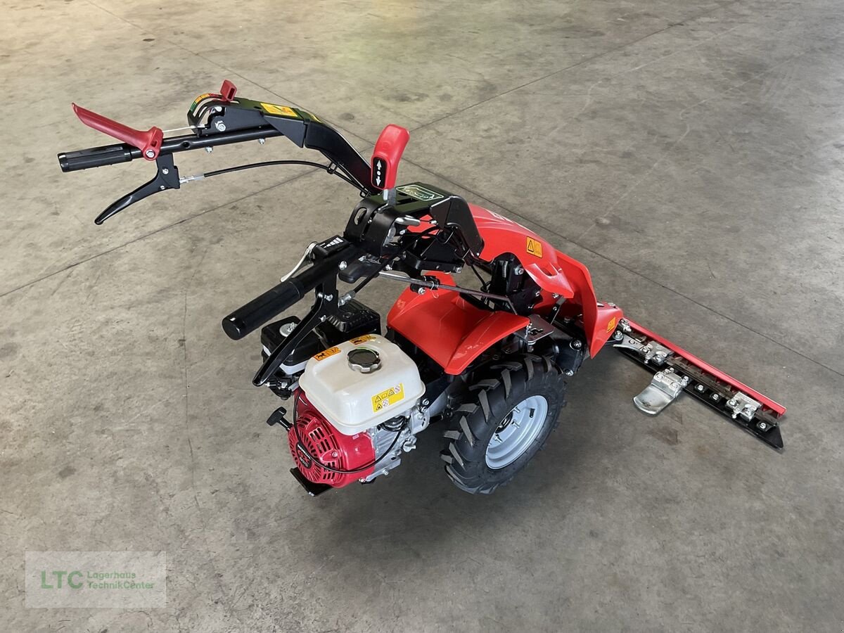 Motormäher typu Reform CM 817, Vorführmaschine v Kalsdorf (Obrázek 3)