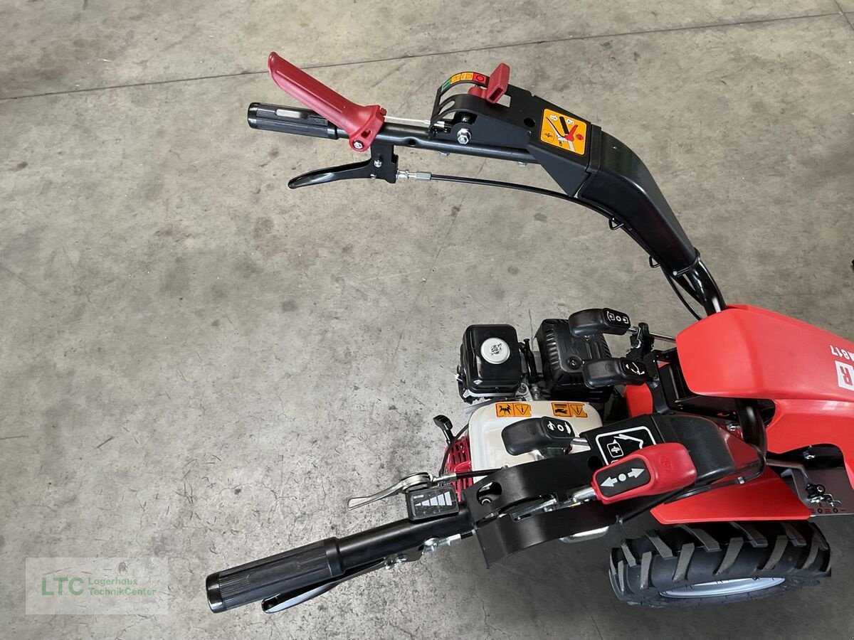 Motormäher typu Reform CM 817, Vorführmaschine v Kalsdorf (Obrázek 10)