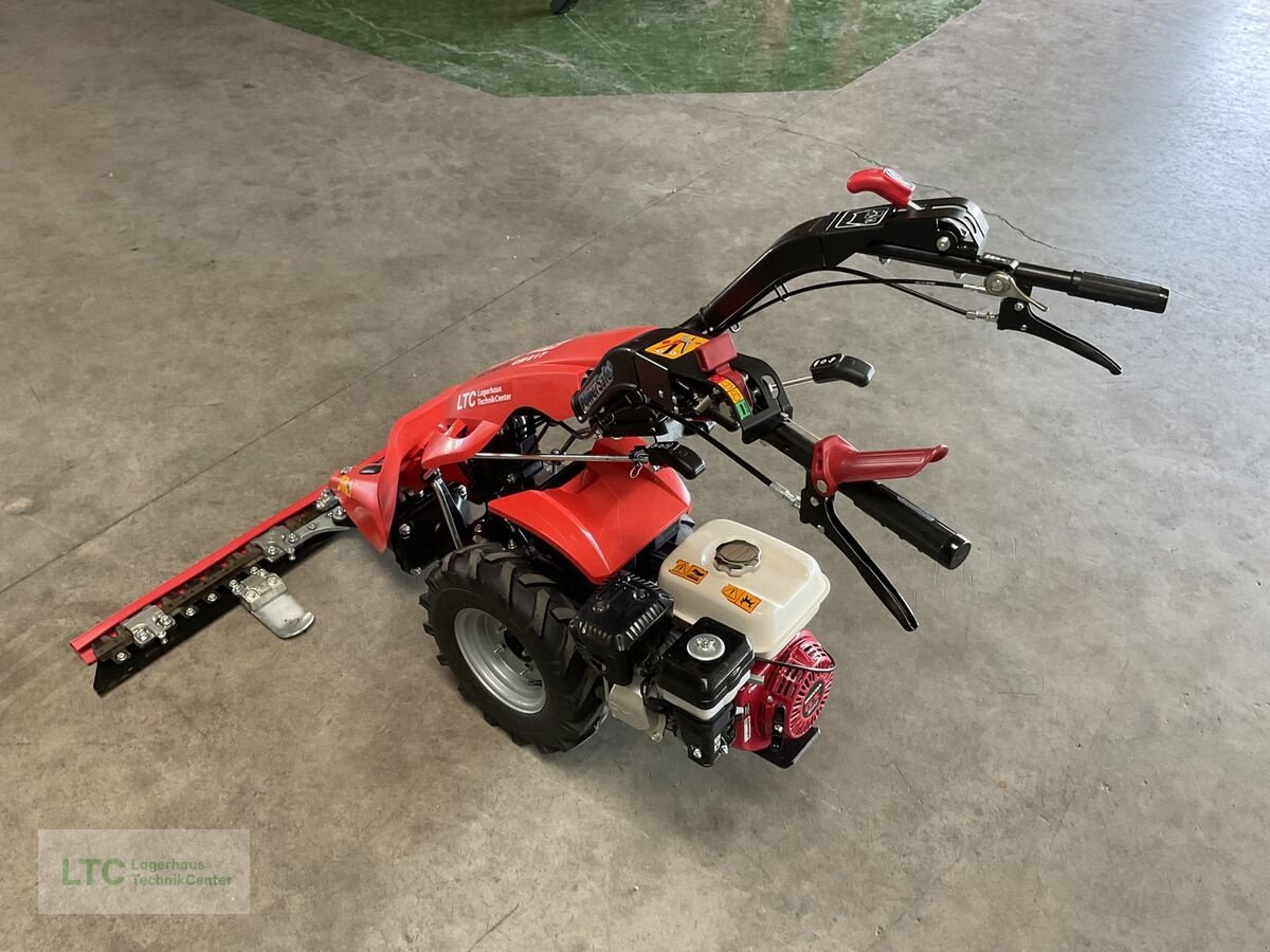 Motormäher typu Reform CM 817, Vorführmaschine v Kalsdorf (Obrázek 4)