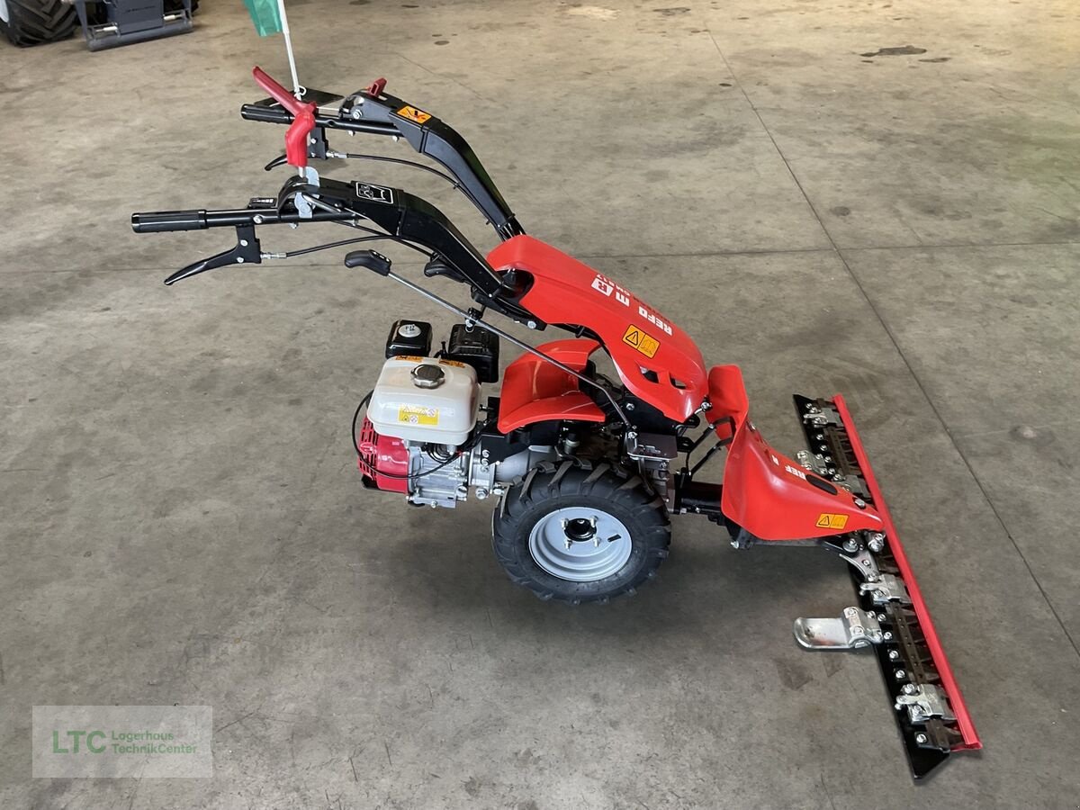 Motormäher typu Reform CM 817, Vorführmaschine v Kalsdorf (Obrázek 7)