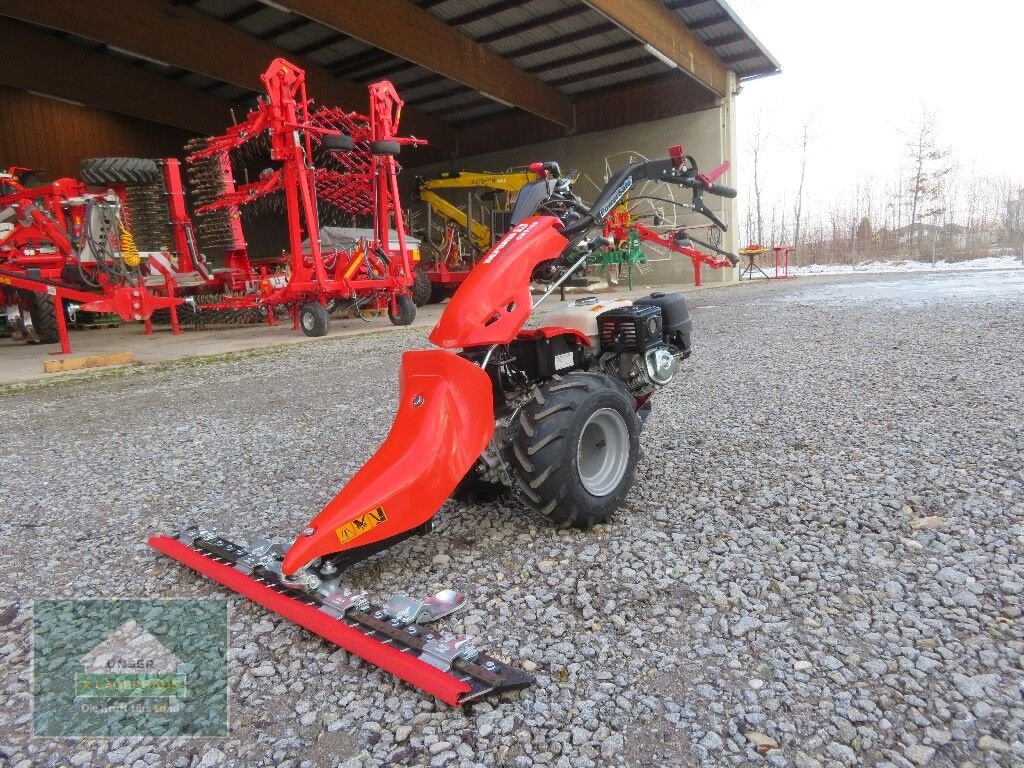 Motormäher van het type Reform CM 818 D, Neumaschine in Hofkirchen (Foto 1)