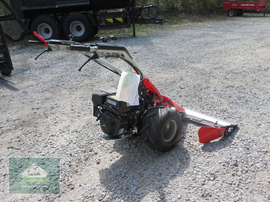 Motormäher of the type Reform M2.09D, Neumaschine in Hofkirchen (Picture 5)