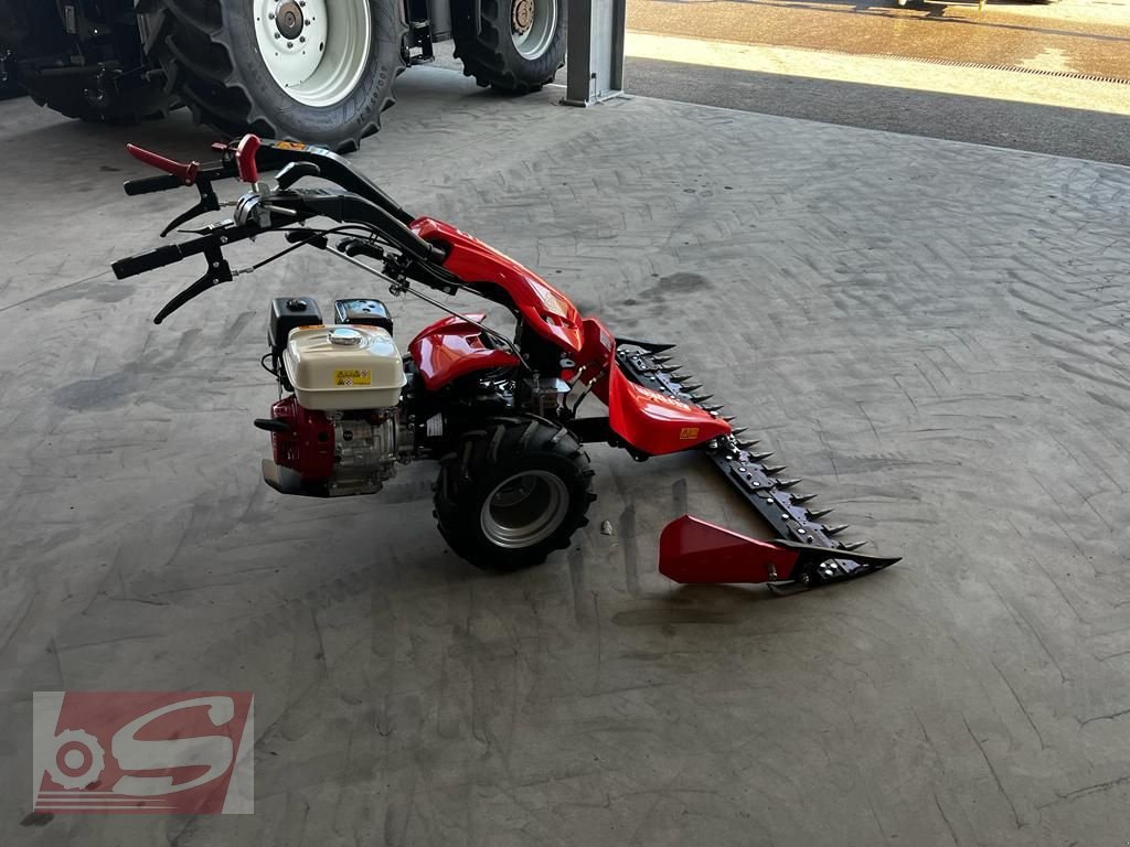 Motormäher of the type Reform MOTECH 818D, Neumaschine in Offenhausen (Picture 5)