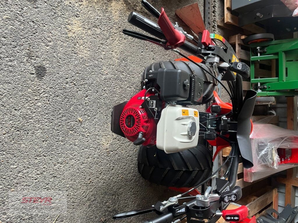 Motormäher of the type Reform Motech CM826 D m. Ölbadmähantrieb 1,45 Non-Stop, Neumaschine in Kilb (Picture 2)